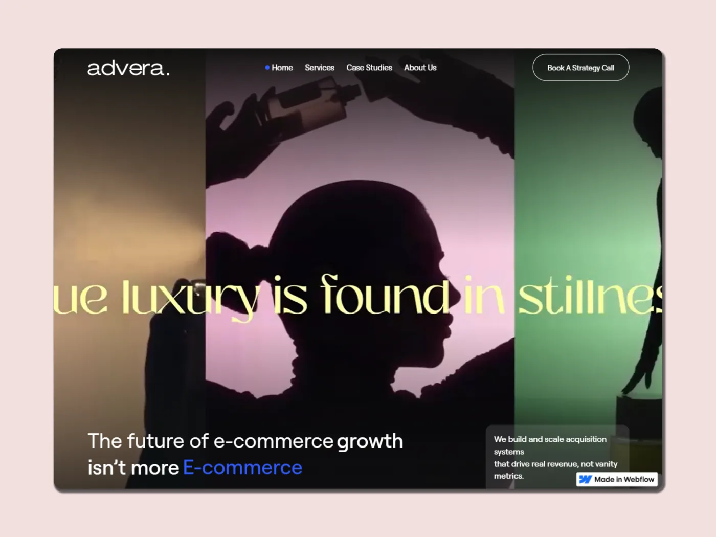 Advera performance marketing website